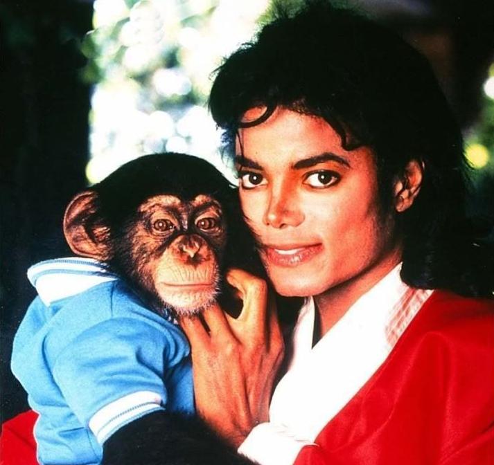 1. Michael's museum?